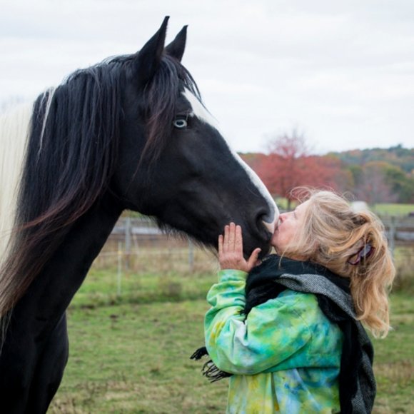 Meet your Posher,  Dréa - Picture 1 of 1